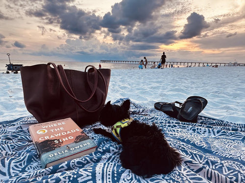 It goes anywhere! - customer review photo
