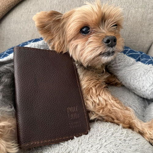 Love the color - customer review photo