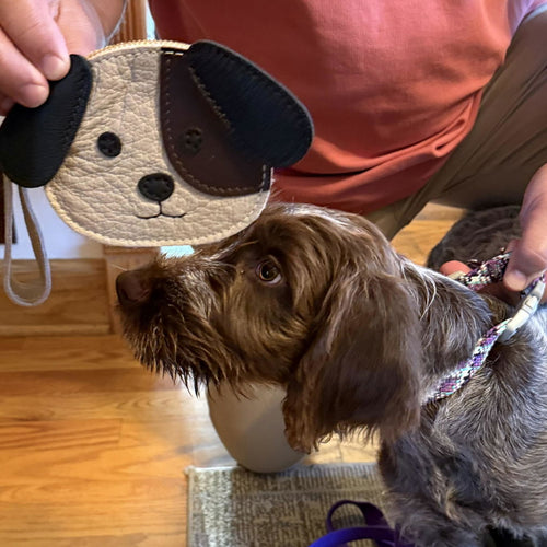 Looks like my puppy 🐶 - customer review photo