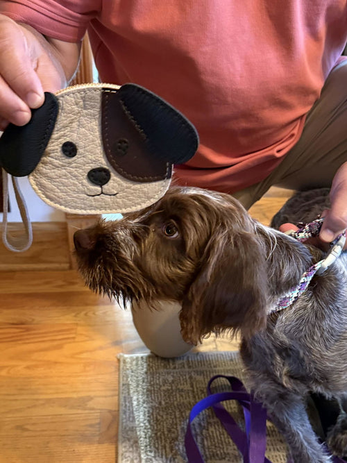 Looks like my puppy 🐶 - customer review photo