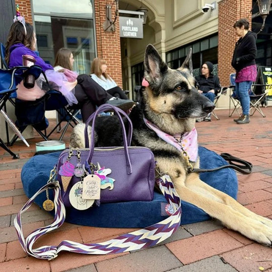 German Shepherd with a purple bag