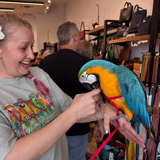 person holding parrot