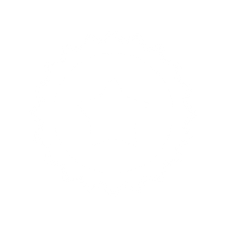 Limited Edition Icon