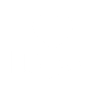 Hand Holding Heart Icon