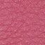 Wild Rose